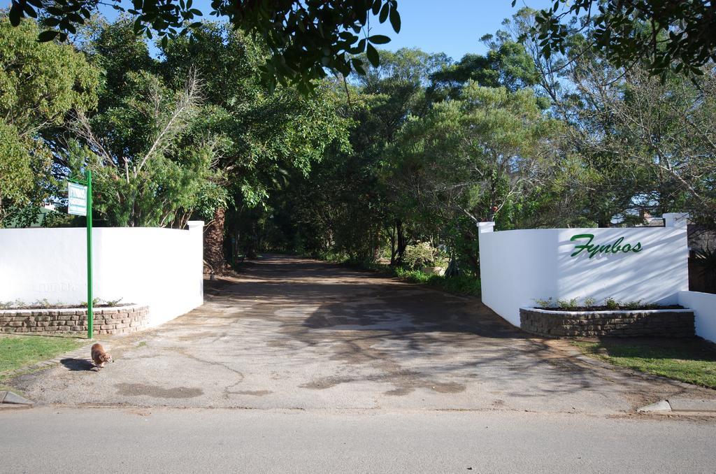Fynbos Guest House ריברסדייל מראה חיצוני תמונה