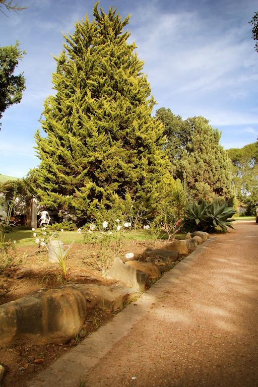 Fynbos Guest House ריברסדייל מראה חיצוני תמונה